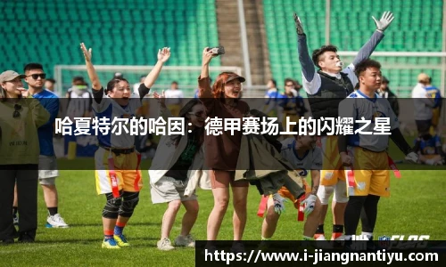 哈夏特尔的哈因：德甲赛场上的闪耀之星